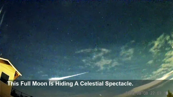 November 2025 Full Moon Warning: Why You'll Barely See the Taurid & Leonid Meteor Showers