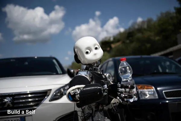 Build a Robot to Understand the Self