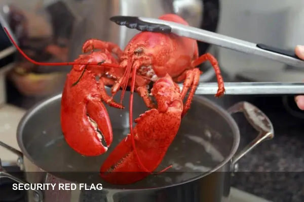 Moltbot rename sparks security concerns